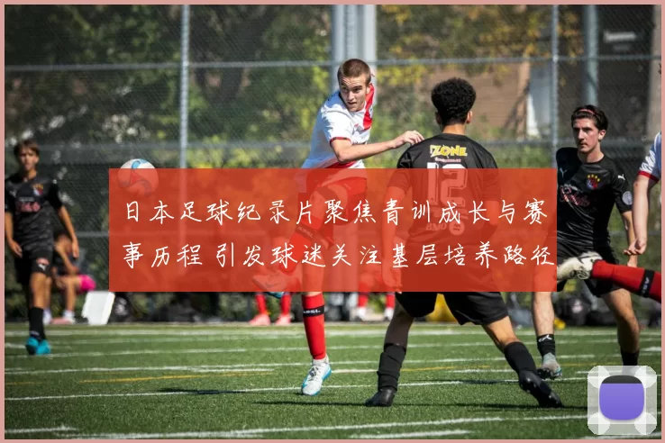 日本足球纪录片聚焦青训成长与赛事历程 引发球迷关注基层培养路径
